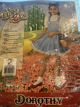 Load image into Gallery viewer, DOROTHY FROM THE WIZARD OF OZ HALLOWEEN COSTUME GIRL&#39;S SMALL 4-6
